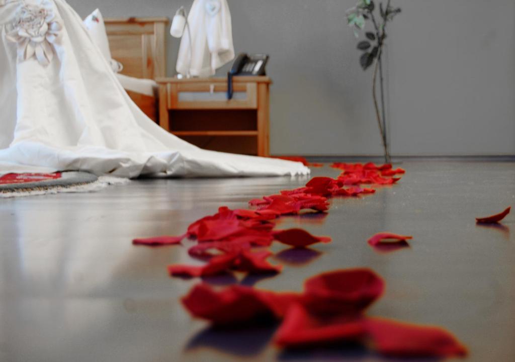Hotel Hotel-restaurant Ammertmann